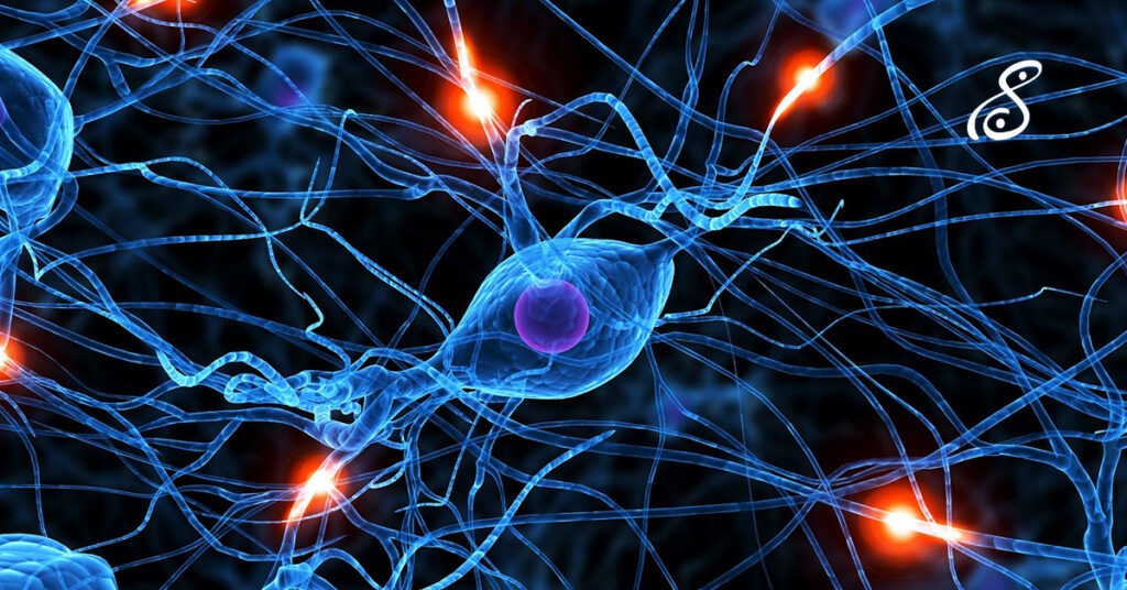 que es la plasticidad neuronal o neuroplasticidad